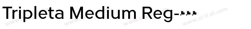 Tripleta Medium Reg字体转换 Tripleta Medium Reg字体转换